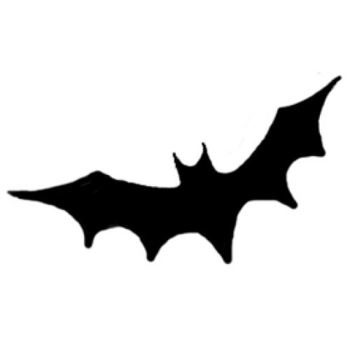 bat bat